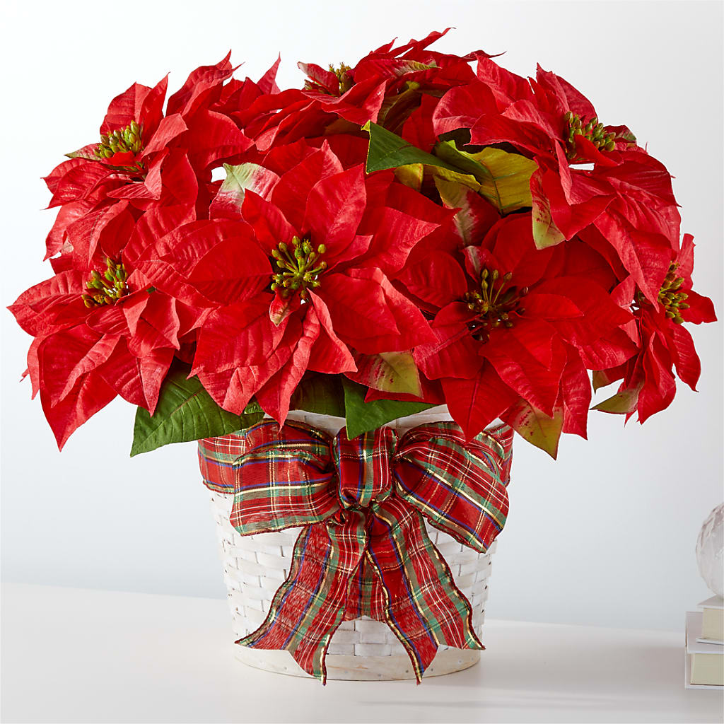 Happiest Holidays Poinsettia – The Love Bug Flowers, Timmins ON