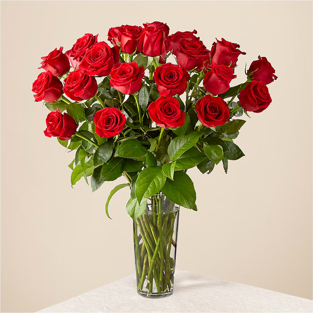 Long Stem Red Rose Bouquet – The Love Bug Flowers, Timmins ON