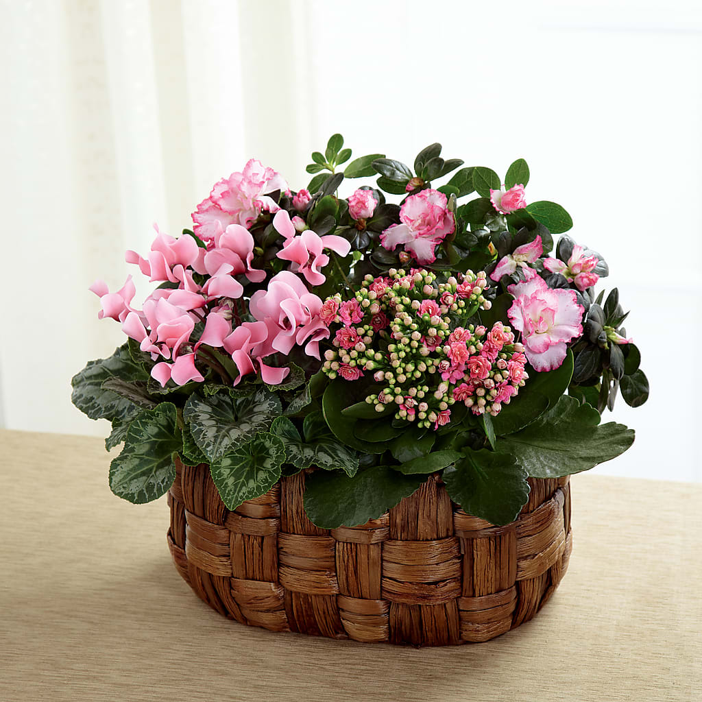 Pink Assortment – The Love Bug Flowers, Timmins ON