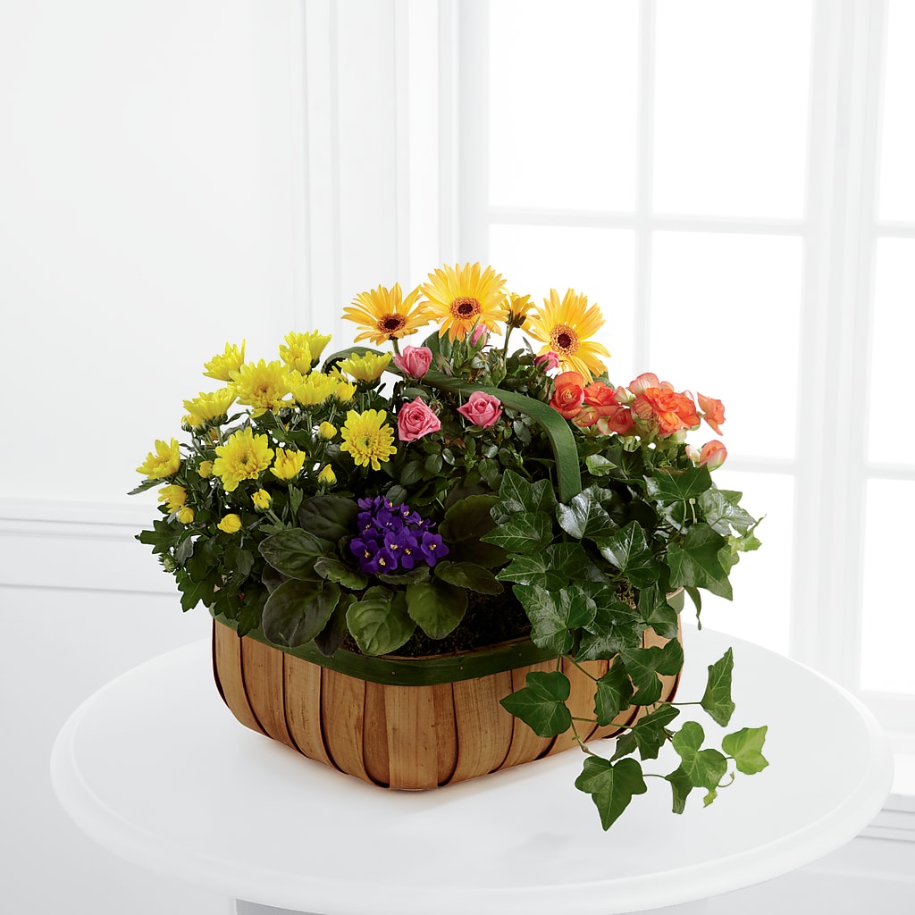 Gentle Blossoms Basket – The Love Bug Flowers, Timmins ON