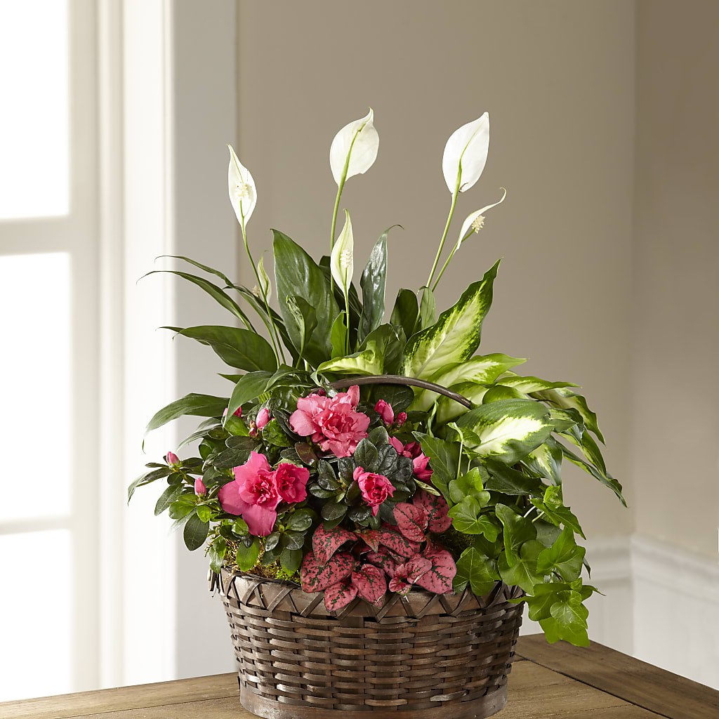 Dream in Pink Dishgarden – The Love Bug Flowers, Timmins ON