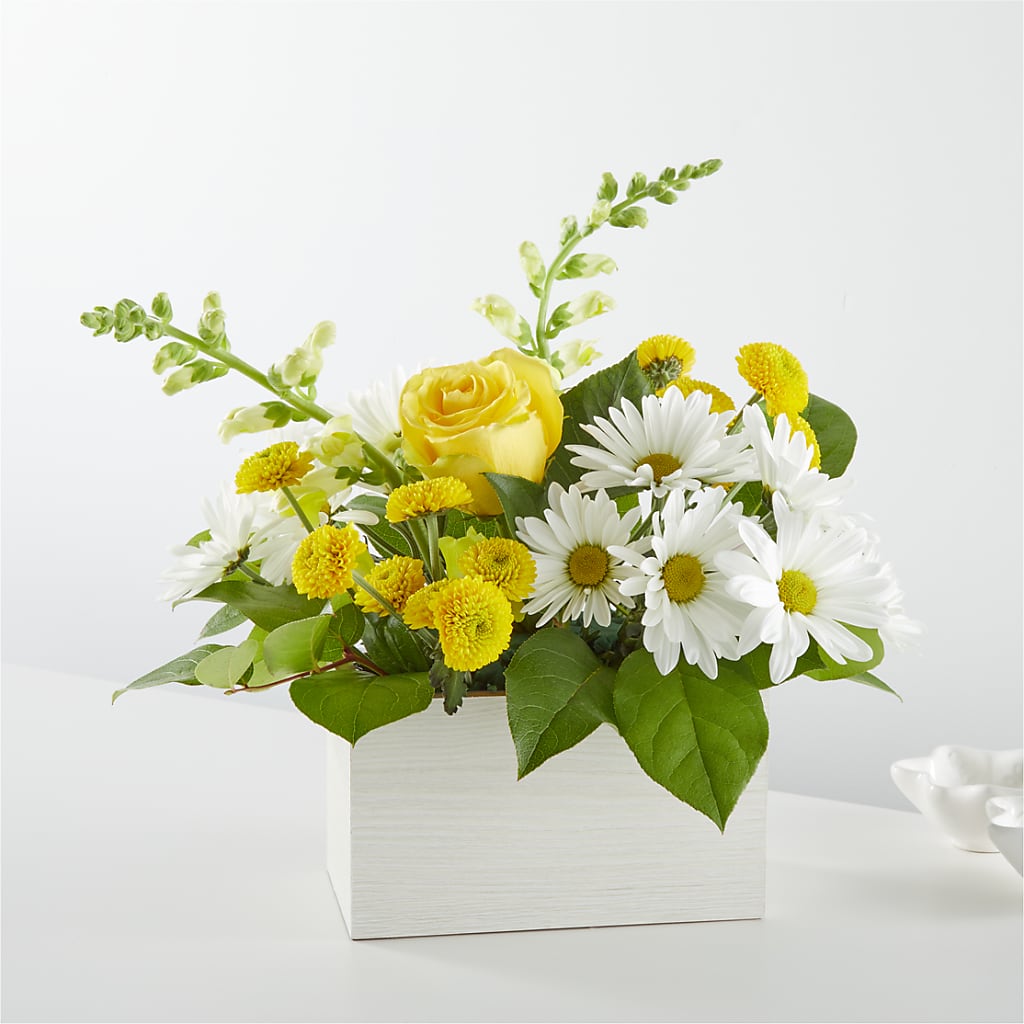 Sun Salutation Box Bouquet – The Love Bug Flowers, Timmins ON