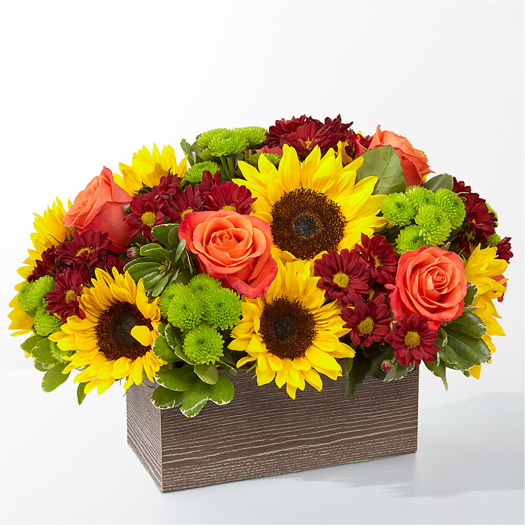Happy Harvest Garden – The Love Bug Flowers, Timmins ON