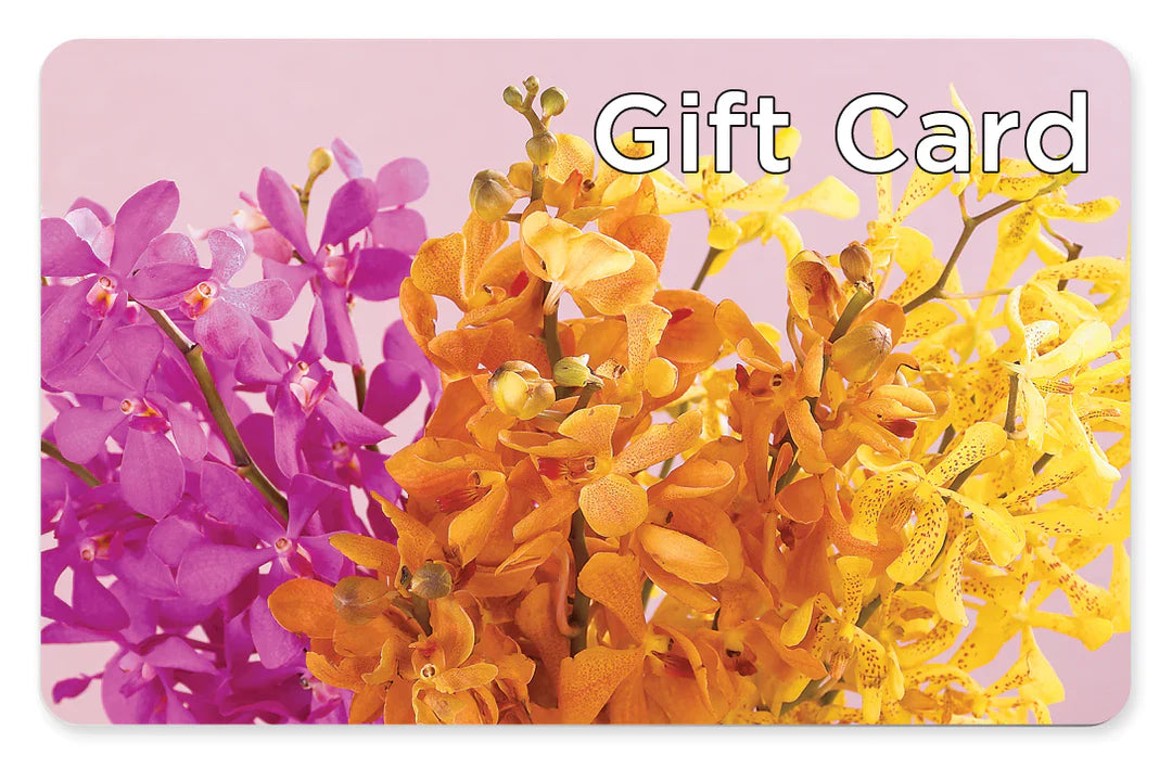 Gift Card – The Love Bug Flowers, Timmins ON