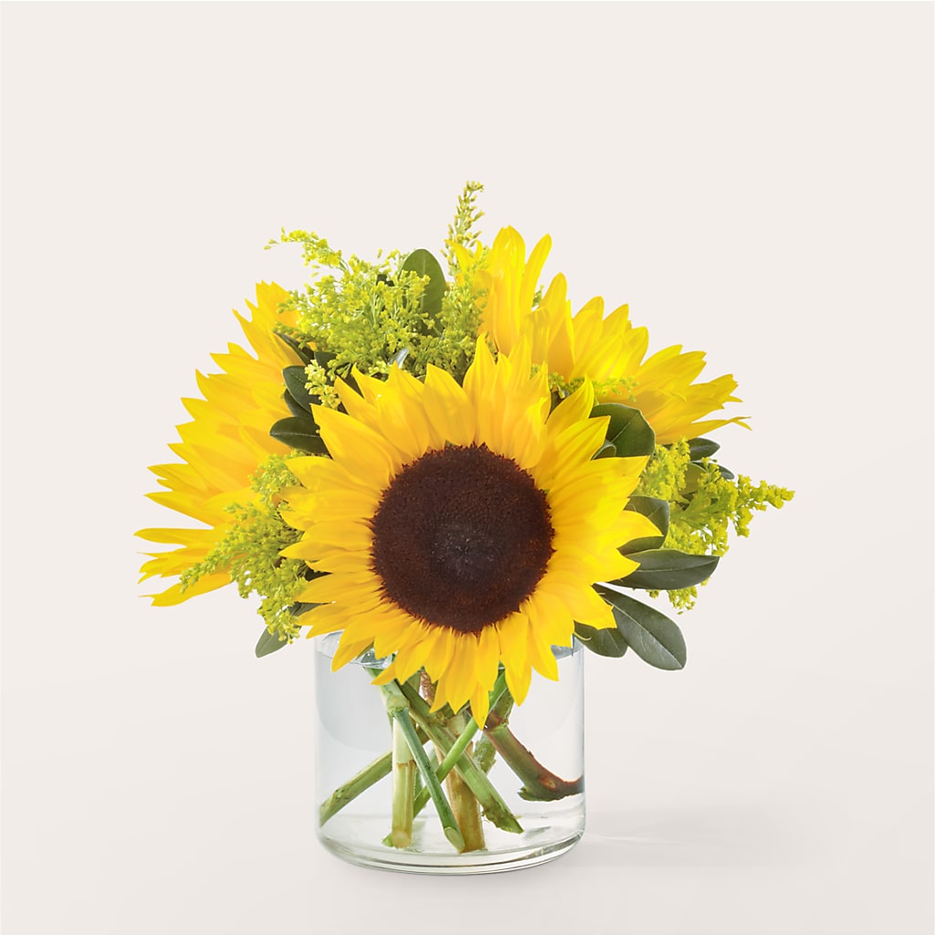 Beaming Sunflower Bouquet – The Love Bug Flowers, Timmins ON