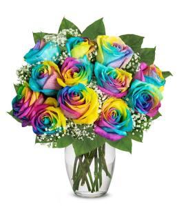 Rainbow Roses – The Love Bug Flowers, Timmins ON