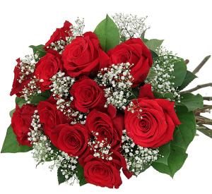 12 Roses Color Choice Wrapped – The Love Bug Flowers, Timmins ON