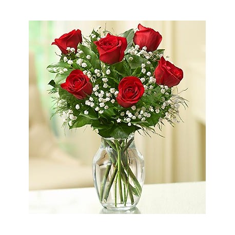 6 Roses in a Vase