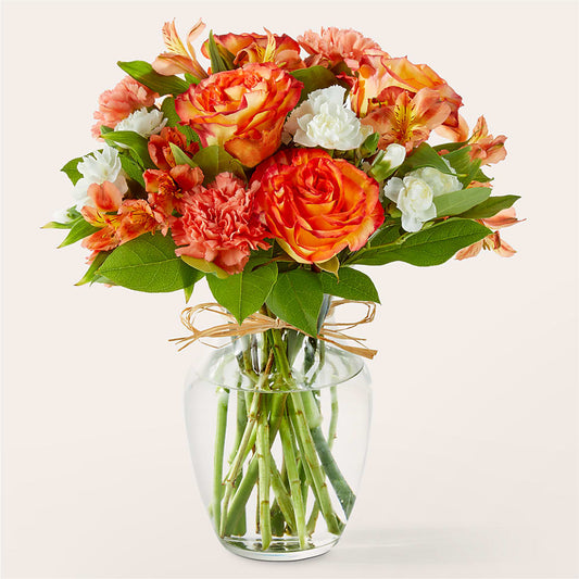 Ramo de albaricoque brillante