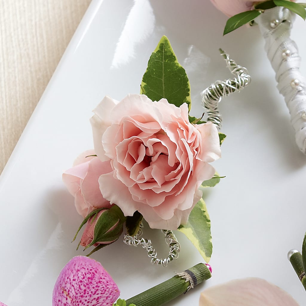 Pink Spray Rose Boutonniere – The Love Bug Flowers, Timmins ON