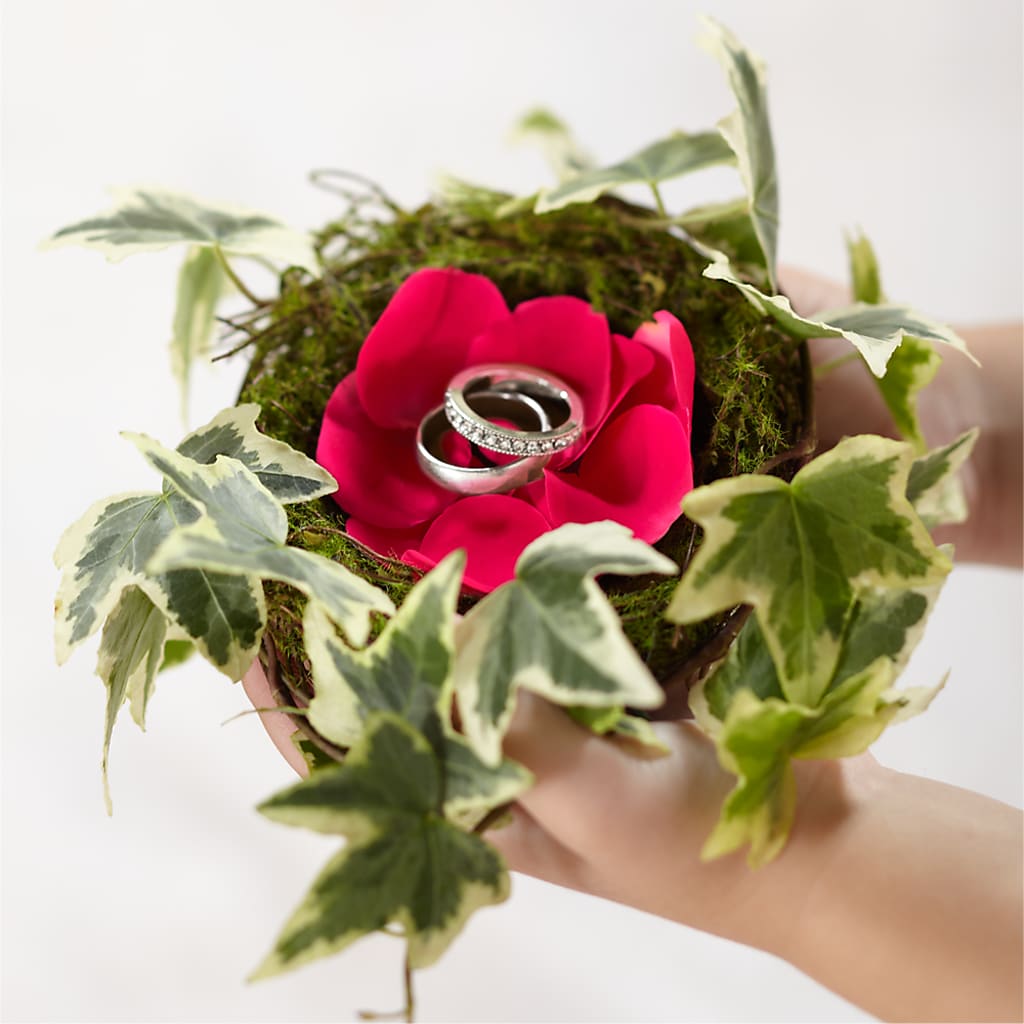 Lila Rose Ring Nest – The Love Bug Flowers, Timmins ON