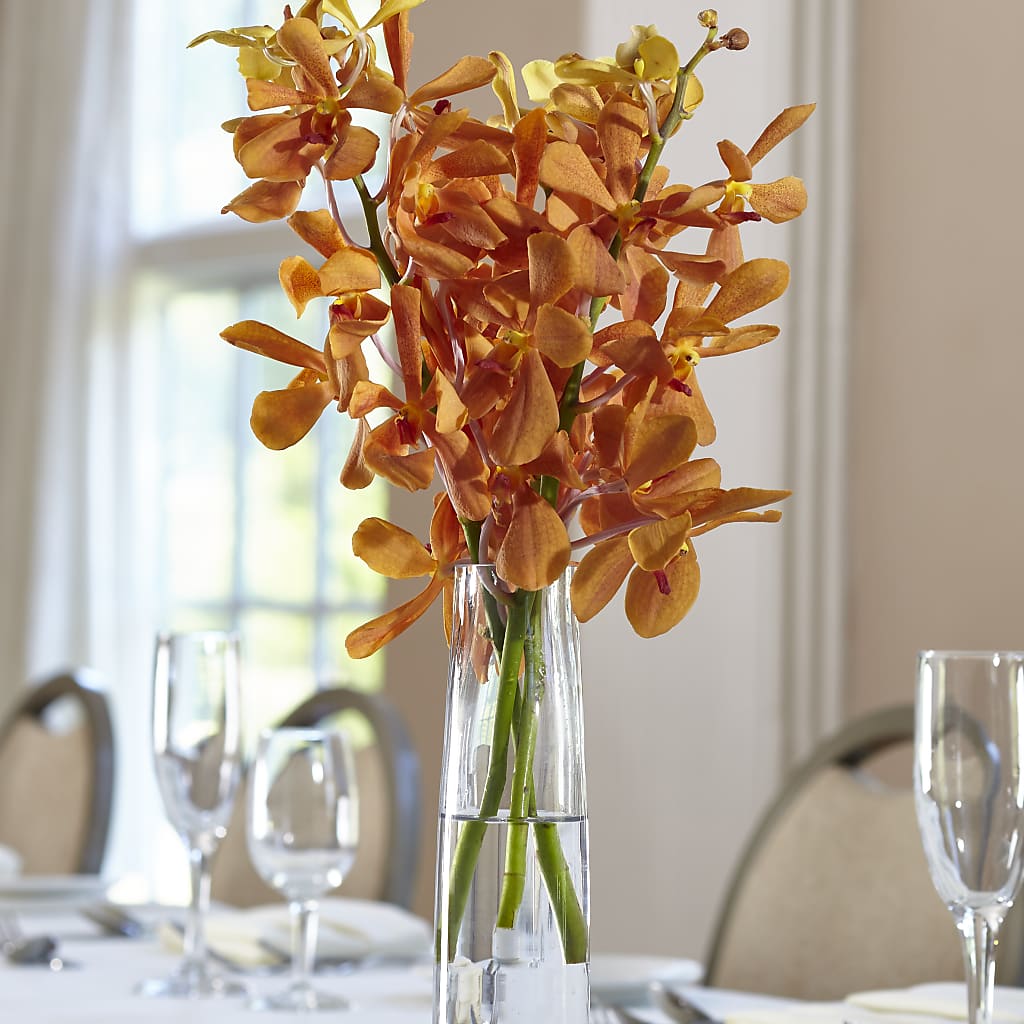 Orange Mokara Bud Vase – The Love Bug Flowers, Timmins ON