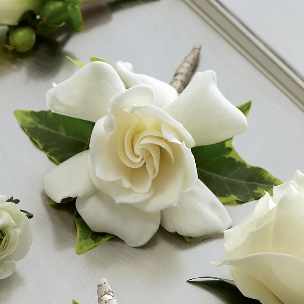 Gardenia Boutonniere – The Love Bug Flowers, Timmins ON