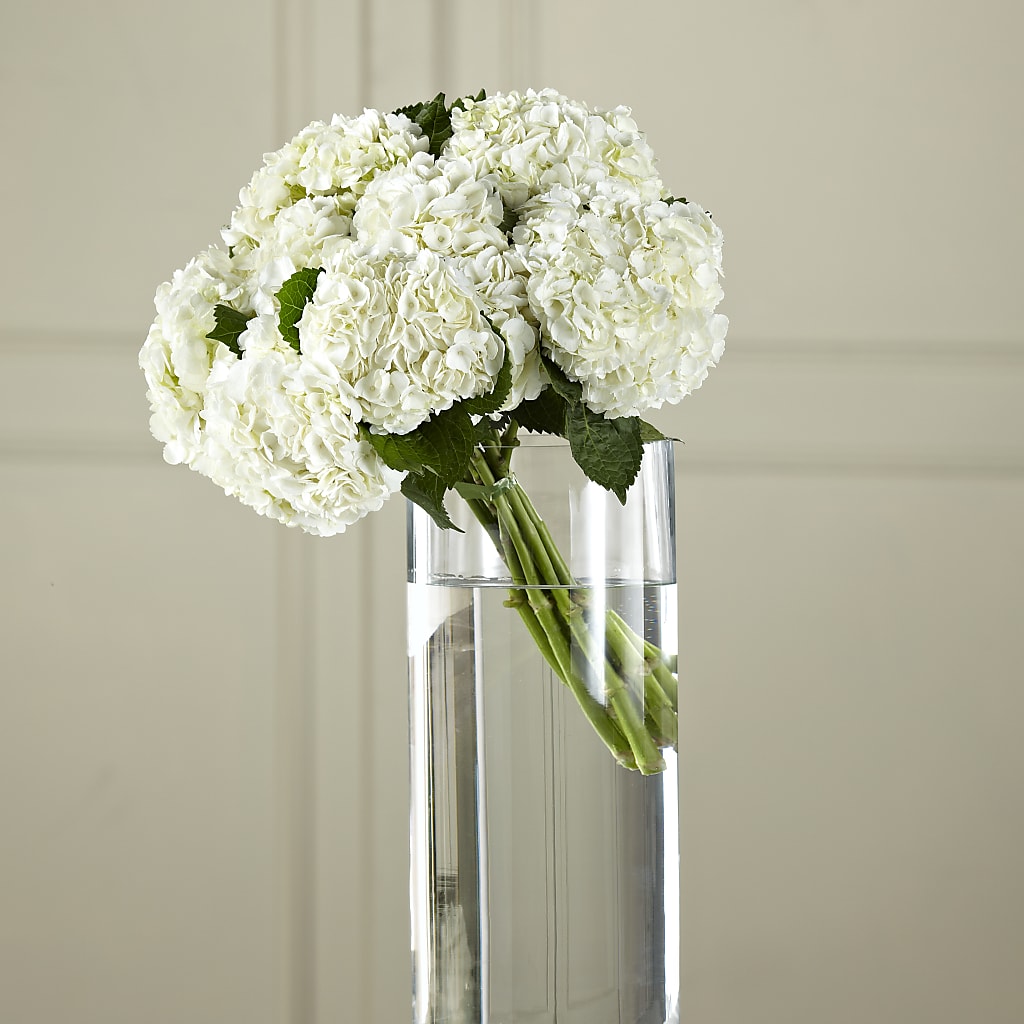 White Hydrangea Hand-Tied Bouquet – The Love Bug Flowers, Timmins ON