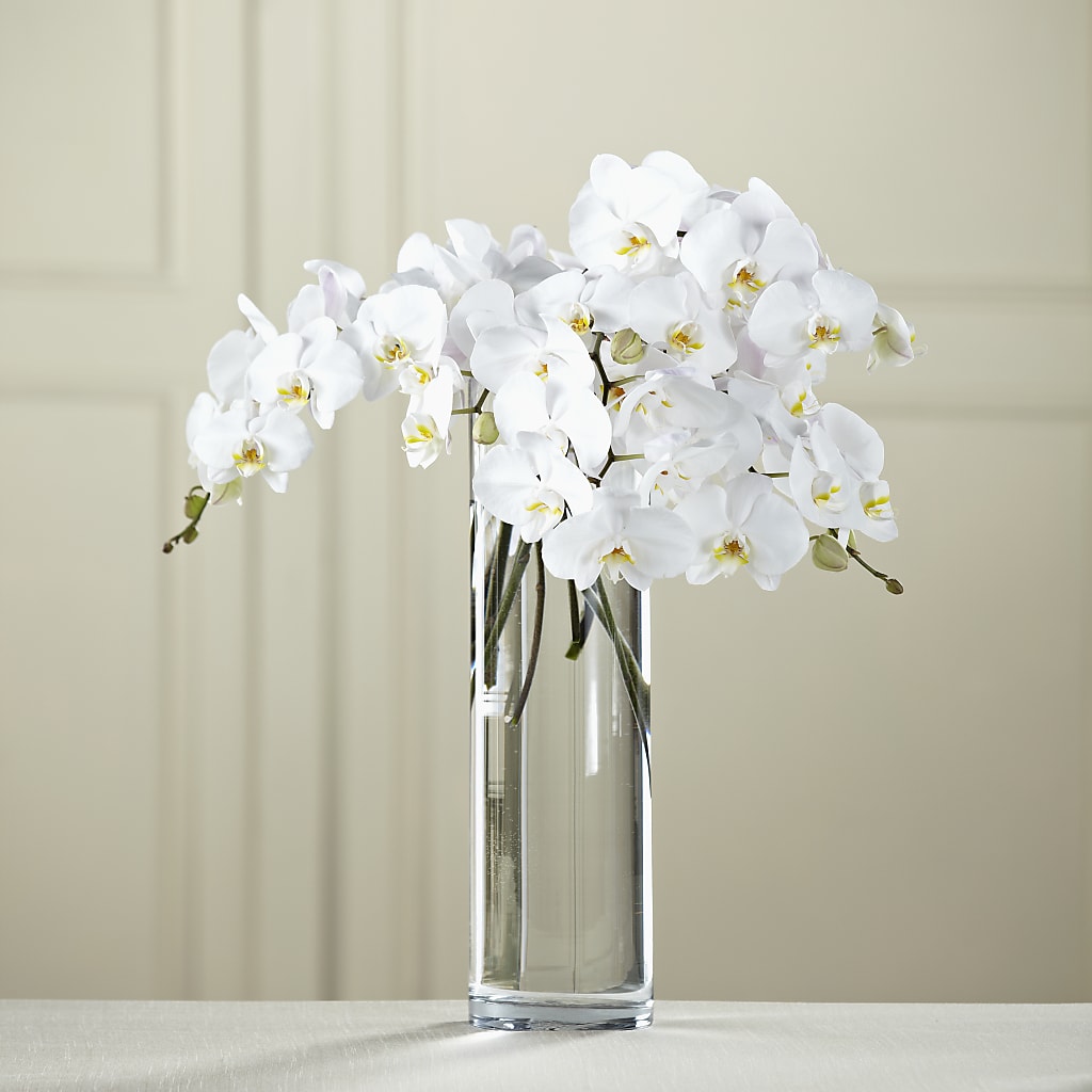 White Phalaenopsis Bouquet – The Love Bug Flowers, Timmins ON