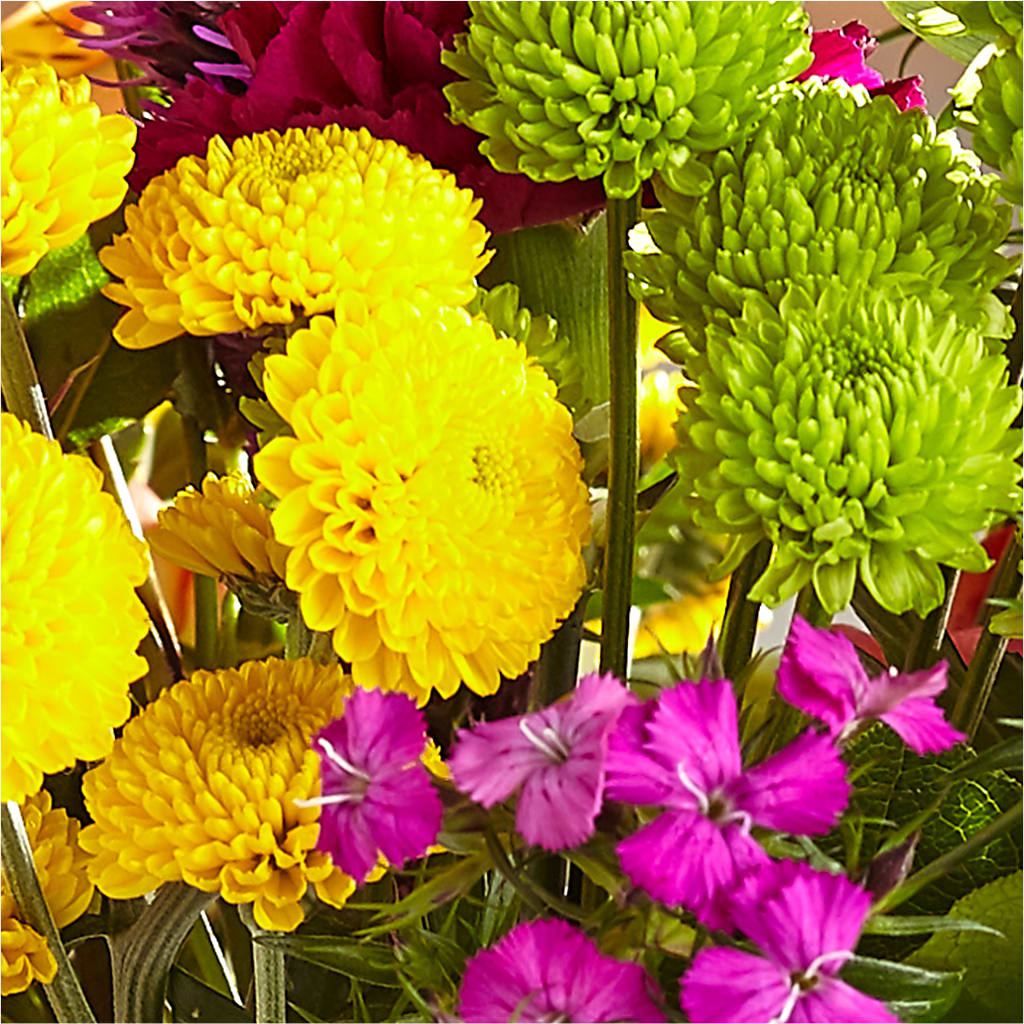 Bold & Bright – A Florist Original –  The Love Bug Flowers, Timmins ON