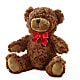 Adorable Plush Bear –  The Love Bug Flowers, Timmins ON