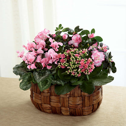 Pink Assortment –  The Love Bug Flowers, Timmins ON