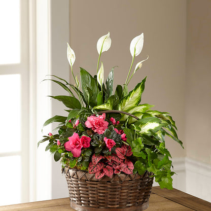Dream in Pink Dishgarden –  The Love Bug Flowers, Timmins ON