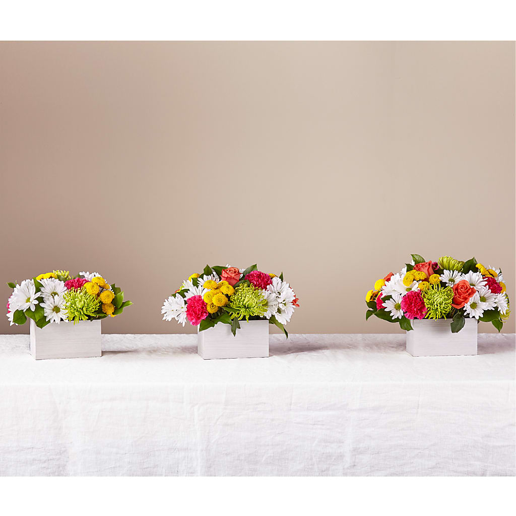 Sorbet Bouquet –  The Love Bug Flowers, Timmins ON