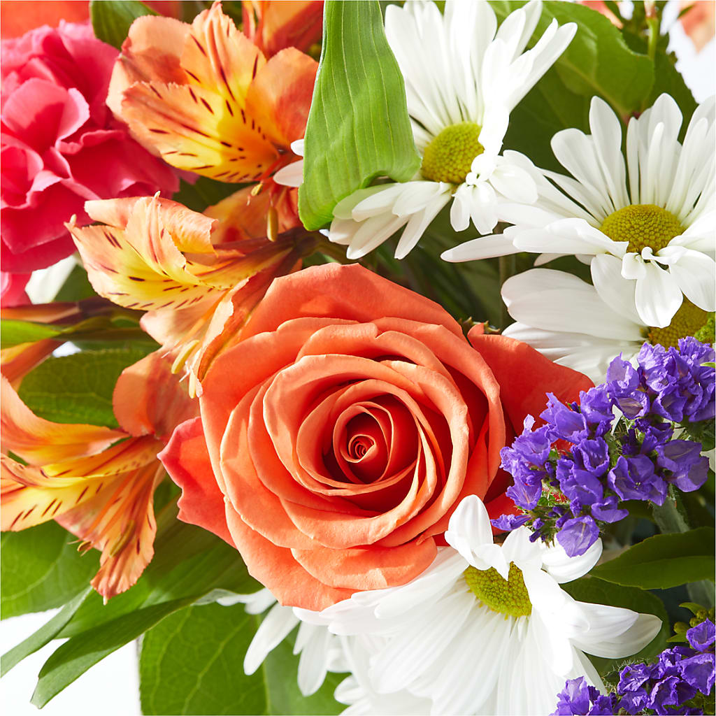 Oopsie Daisy Box Bouquet –  The Love Bug Flowers, Timmins ON