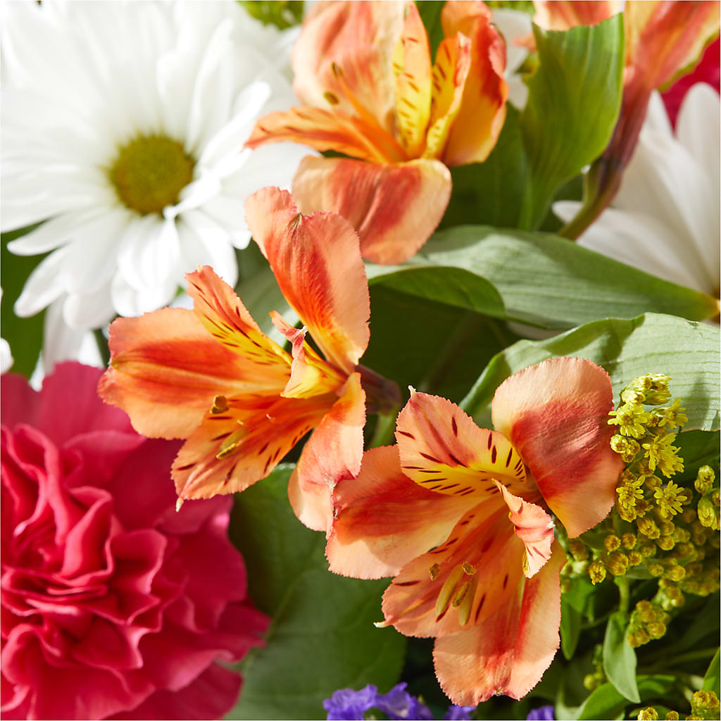 Oopsie Daisy Box Bouquet –  The Love Bug Flowers, Timmins ON