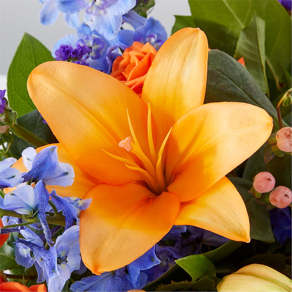 Radiant Citrus Box Bouquet –  The Love Bug Flowers, Timmins ON