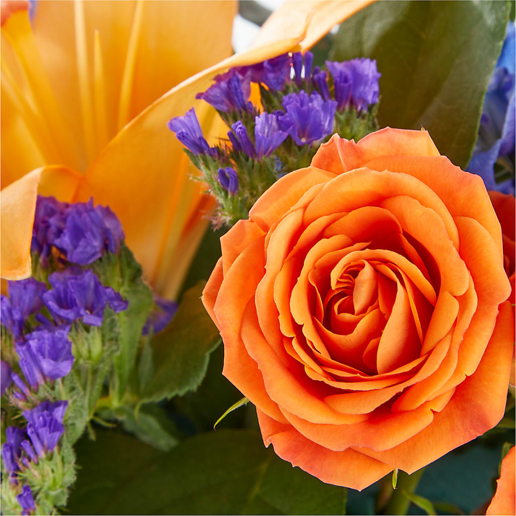 Radiant Citrus Box Bouquet –  The Love Bug Flowers, Timmins ON