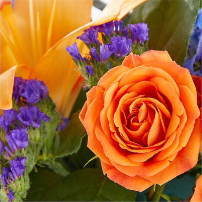 Radiant Citrus Box Bouquet –  The Love Bug Flowers, Timmins ON