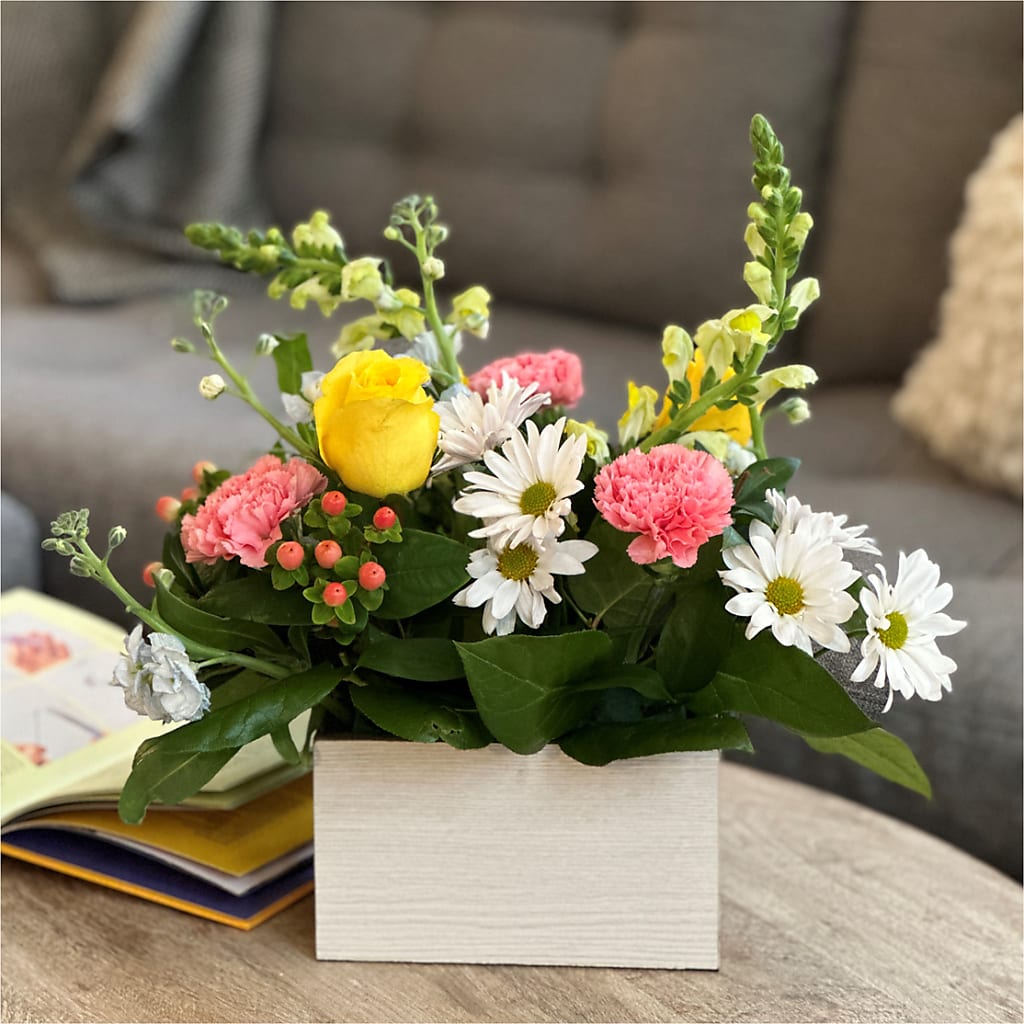 Sun Salutation Box Bouquet –  The Love Bug Flowers, Timmins ON