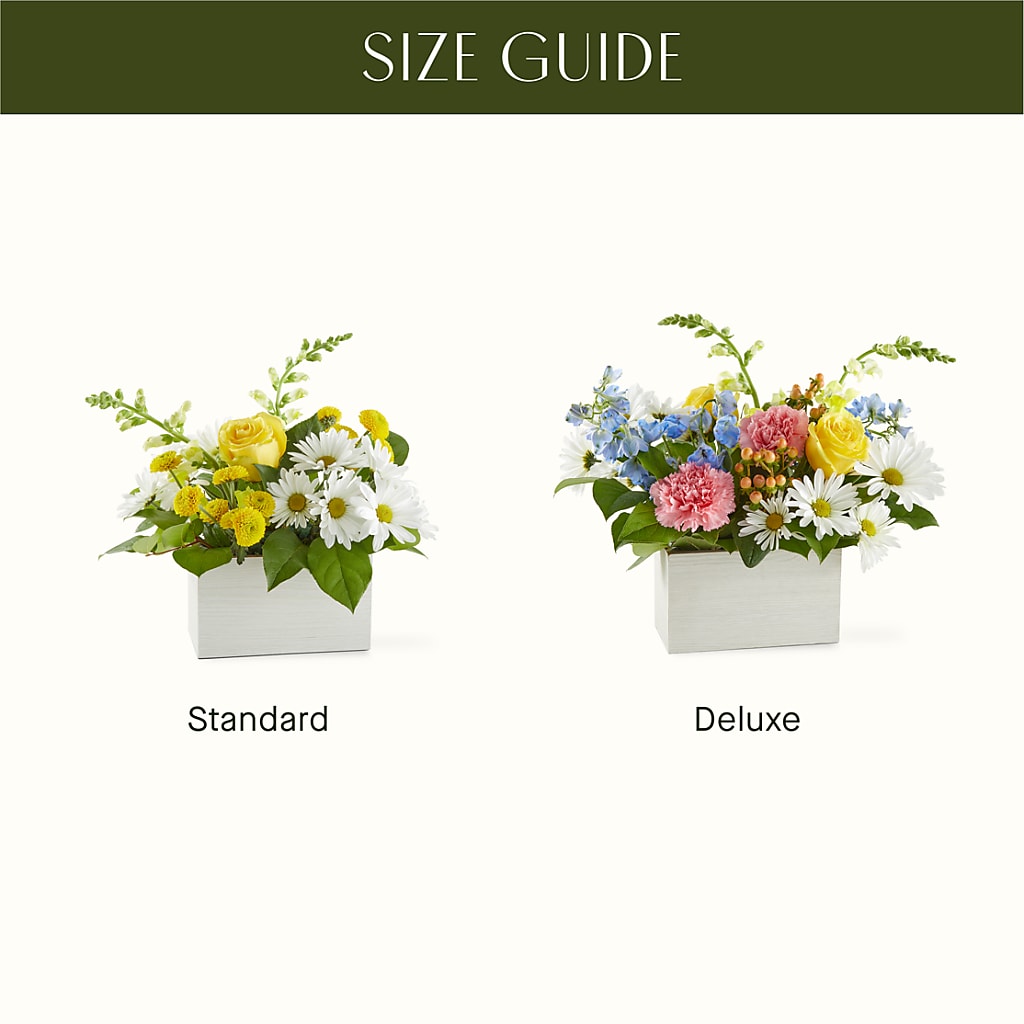 Sun Salutation Box Bouquet –  The Love Bug Flowers, Timmins ON