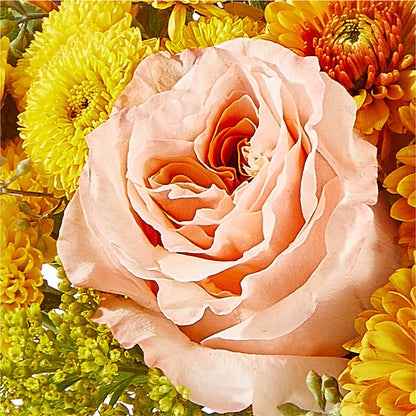 Peachy Pumpkin –  The Love Bug Flowers, Timmins ON