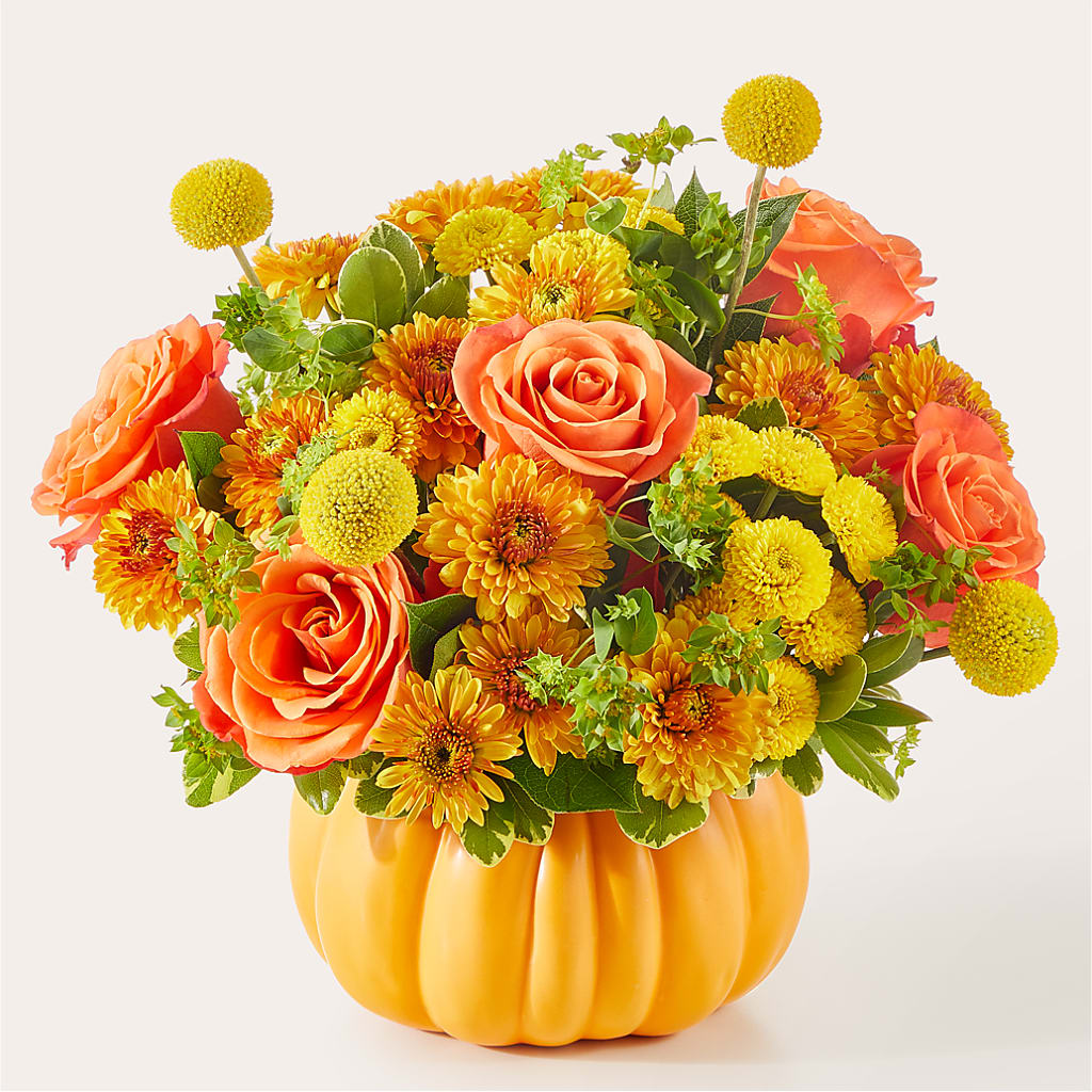 Gourdgeous Pumpkin –  The Love Bug Flowers, Timmins ON