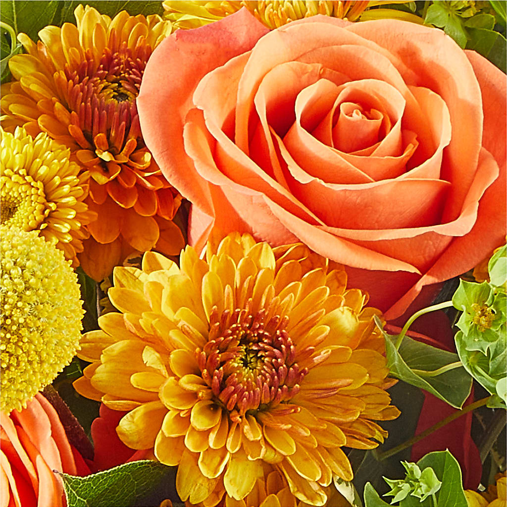 Gourdgeous Pumpkin –  The Love Bug Flowers, Timmins ON