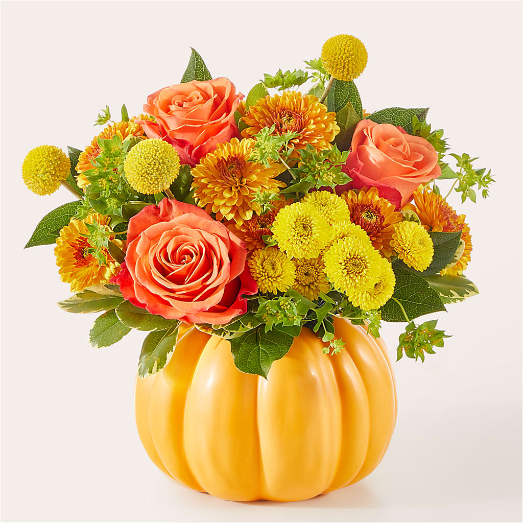 Gourdgeous Pumpkin –  The Love Bug Flowers, Timmins ON