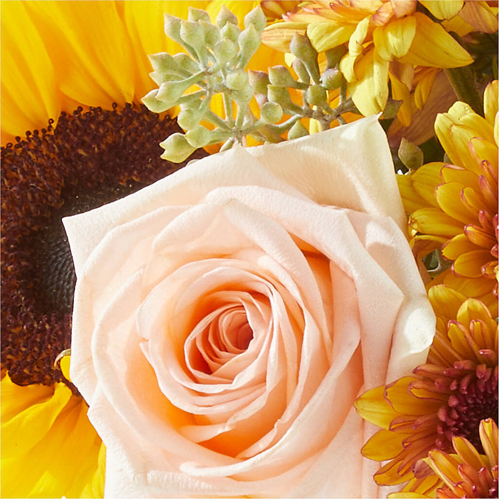 Pumpkin to Talk About Bouquet –  The Love Bug Flowers, Timmins ON