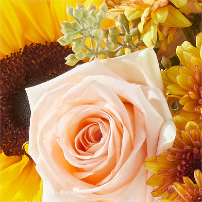 Pumpkin to Talk About Bouquet –  The Love Bug Flowers, Timmins ON