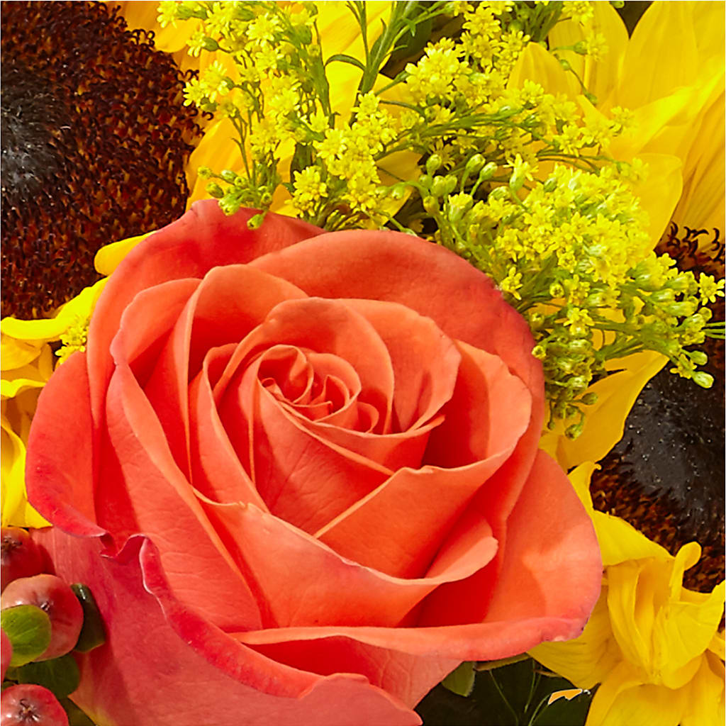 Pick of the Patch Pumpkin Bouquet –  The Love Bug Flowers, Timmins ON