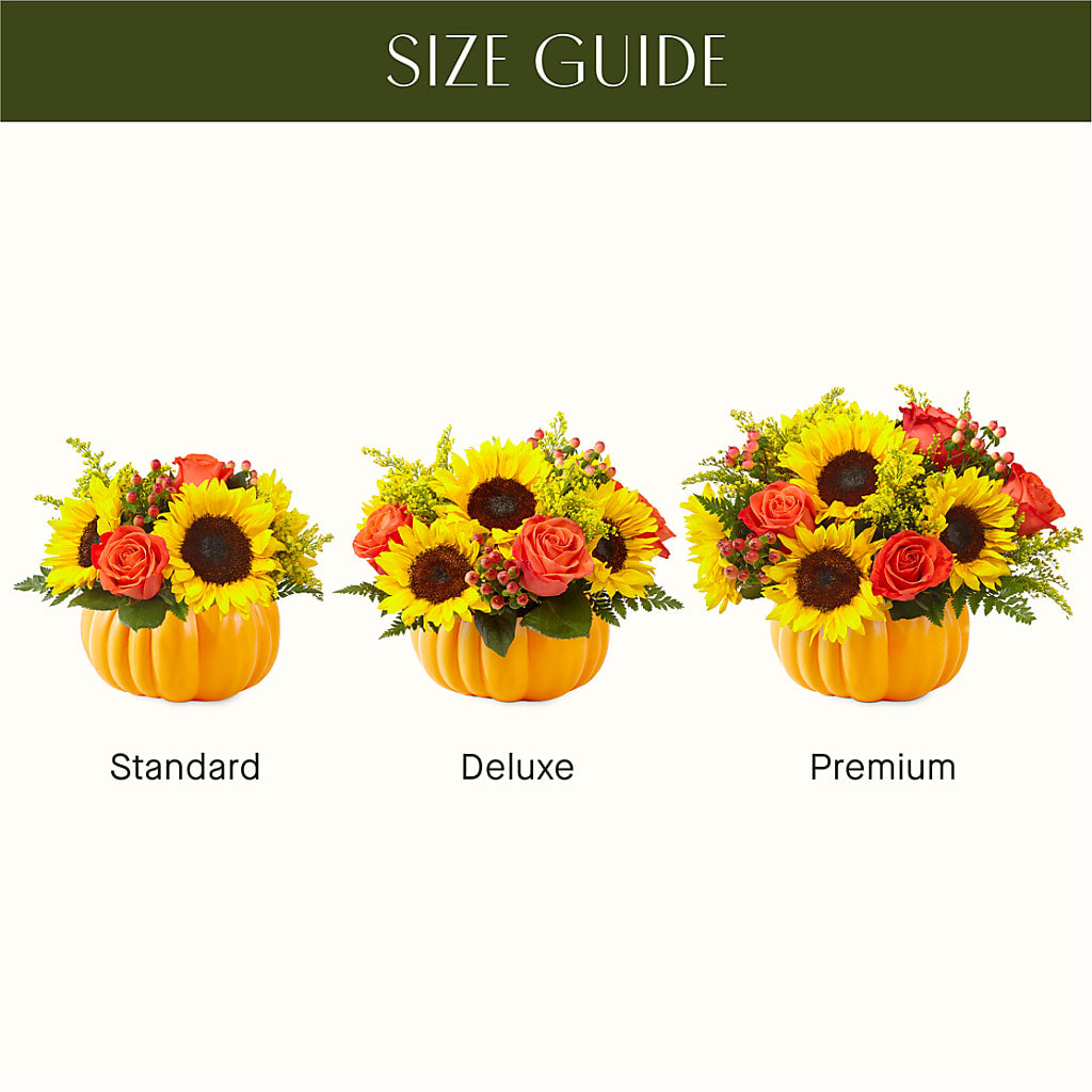 Pick of the Patch Pumpkin Bouquet –  The Love Bug Flowers, Timmins ON