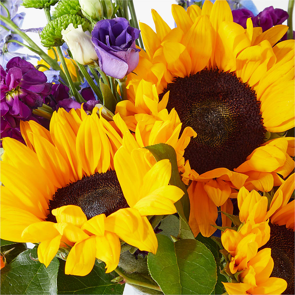 Catching Rays Bouquet –  The Love Bug Flowers, Timmins ON