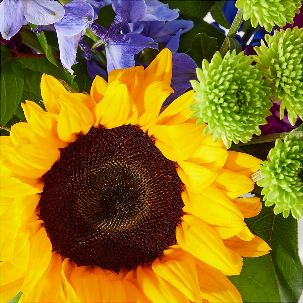 Catching Rays Bouquet –  The Love Bug Flowers, Timmins ON