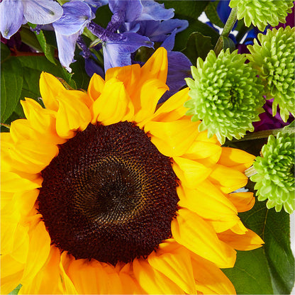 Catching Rays Bouquet –  The Love Bug Flowers, Timmins ON