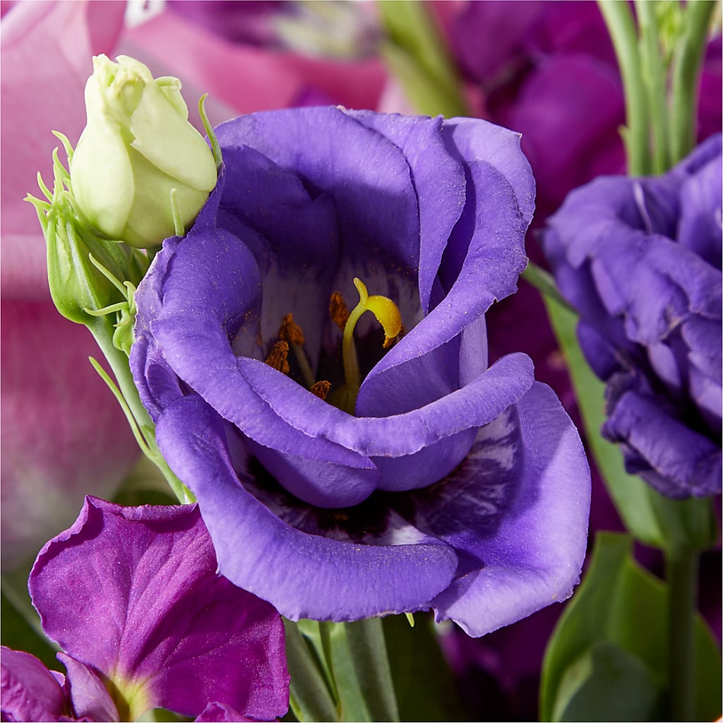 Twilight Glow Bouquet –  The Love Bug Flowers, Timmins ON