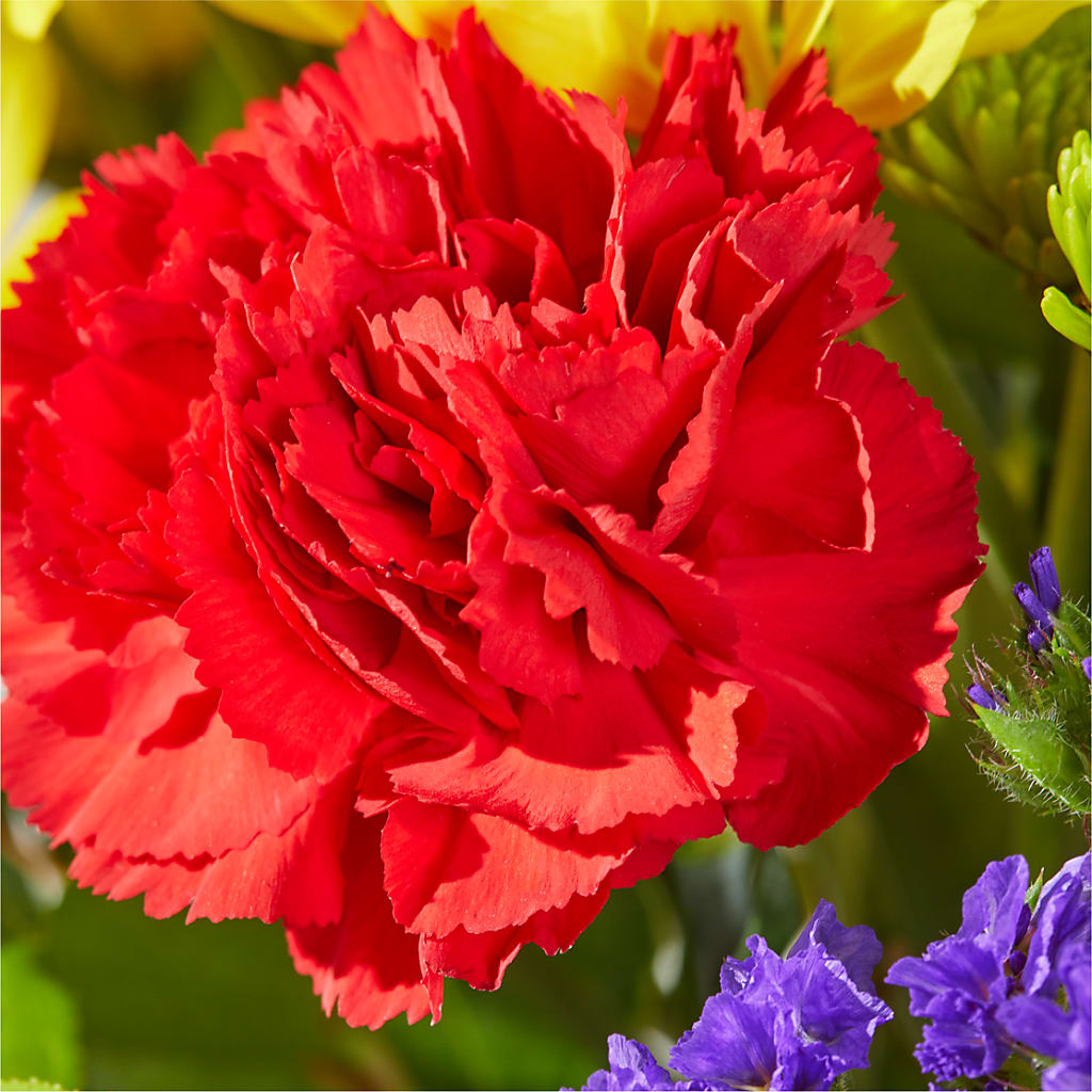 Brighter Days Bouquet –  The Love Bug Flowers, Timmins ON