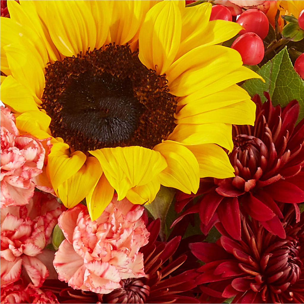 Fresh Cider Bouquet –  The Love Bug Flowers, Timmins ON