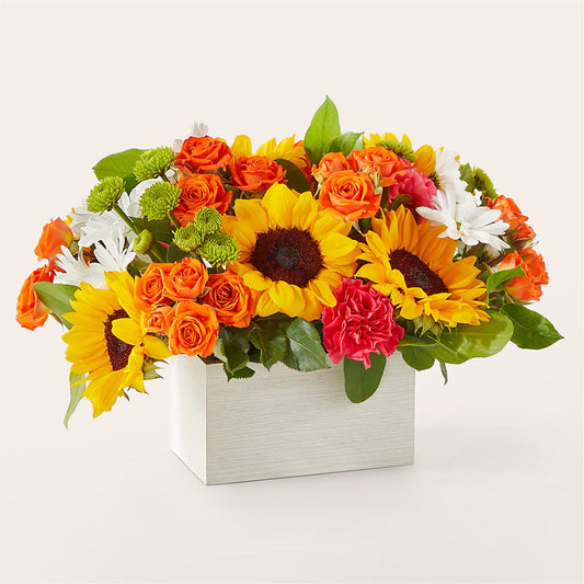 Sun-drenched Blooms Box Bouquet –  The Love Bug Flowers, Timmins ON