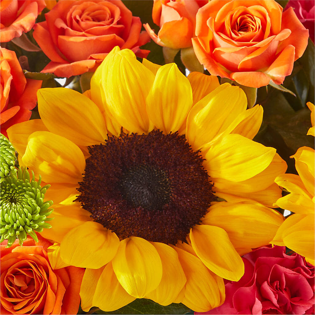 Sun-drenched Blooms Box Bouquet –  The Love Bug Flowers, Timmins ON