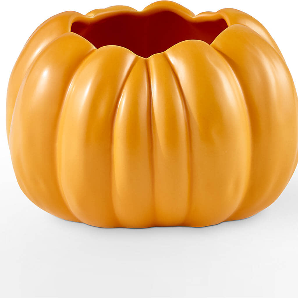 Golden Gourd Pumpkin Bouquet –  The Love Bug Flowers, Timmins ON
