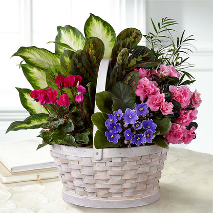 Peaceful Garden Planter –  The Love Bug Flowers, Timmins ON