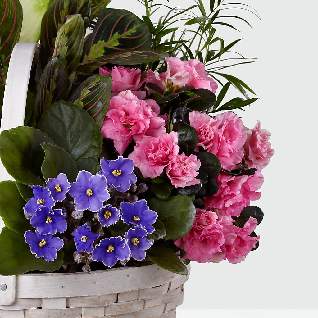 Peaceful Garden Planter –  The Love Bug Flowers, Timmins ON